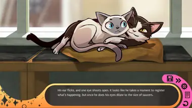 Hustle Cat preview 5