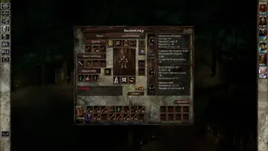 Icewind Dale: Enhanced Edition .COM preview 7