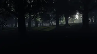 Instinct preview 2
