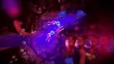 Into the Belly of the Beast Live preview 6