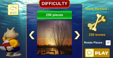 Jigsaw Puzzle: Belgium Through The Lens preview 4