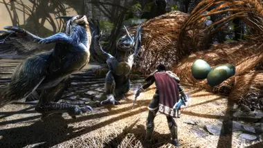 Kingdoms of Amalur: Re-Reckoning preview 11