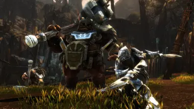Kingdoms of Amalur: Re-Reckoning preview 9