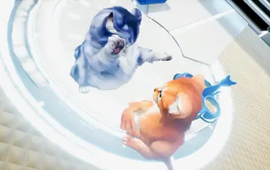 Kitten'd preview 2