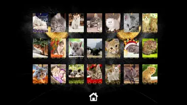 Kitty Cat: Jigsaw Puzzles preview 9