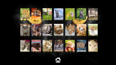 Kitty Cat: Jigsaw Puzzles preview 10