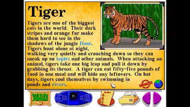Let's Explore the Jungle (Junior Field Trips) preview 9