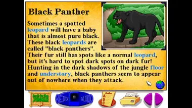 Let's Explore the Jungle (Junior Field Trips) preview 6
