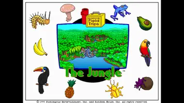 Let's Explore the Jungle (Junior Field Trips) preview 5