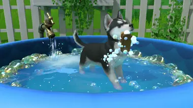 Little Friends: Puppy Island preview 4