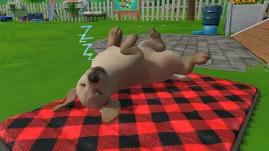 Little Friends: Puppy Island preview 6