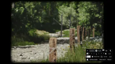 Lushfoil Photography Sim preview 7