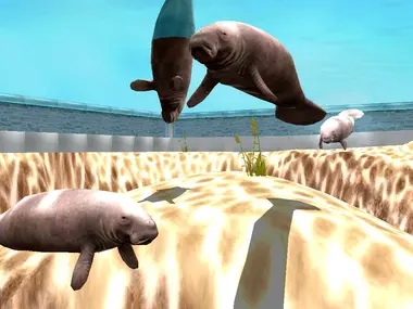 Marine Park Empire preview 10