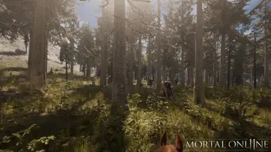 Mortal Online 2 preview 2
