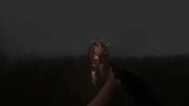 MUTATION PHASE preview 2
