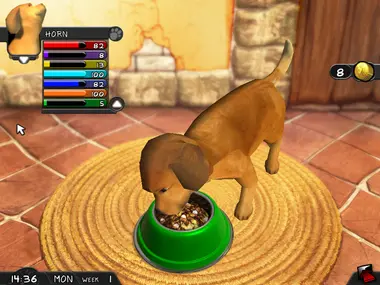 My Best Friends - Cats & Dogs preview 8