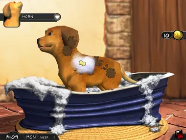 My Best Friends - Cats & Dogs preview 7