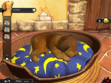 My Best Friends - Cats & Dogs preview 3