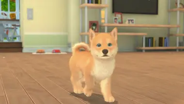 My Universe: Puppies and Kittens preview 2