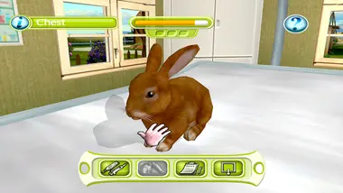 My Vet Practice preview 2