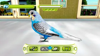 My Vet Practice preview 7