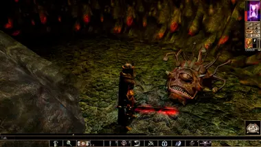 Neverwinter Nights: Enhanced Edition - Live - UNITED STATES preview 13