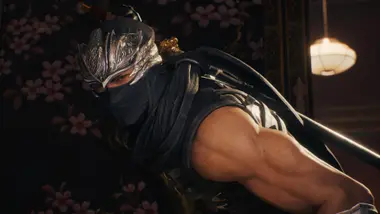 NINJA GAIDEN 2 Black preview 2