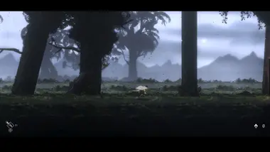 Nocturnal preview 2