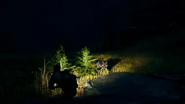 Open Country preview 2