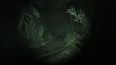 Outlast 2 - Gift preview 16
