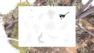 Paperbark preview 6