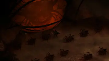 Perennial Order preview 5