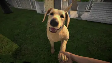 Pets Hotel preview 10