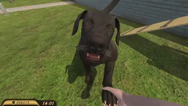 Pets Hotel preview 7