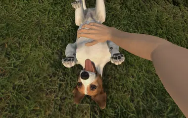 Pets Hotel preview 3