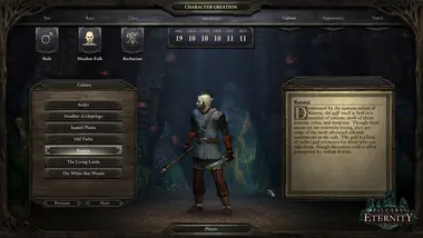 Pillars of Eternity | Hero Edition - .COM preview 6