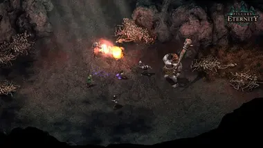 Pillars of Eternity | Hero Edition - .COM preview 2