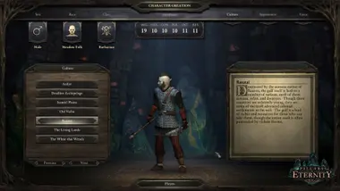 Pillars of Eternity | Hero Edition preview 11