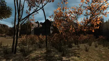 Pineview Drive preview 5