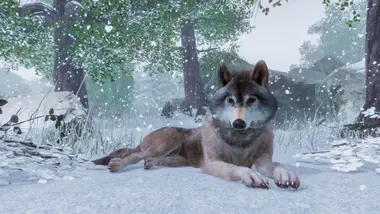 Planet Zoo | Deluxe Edition - - TURKEY preview 3