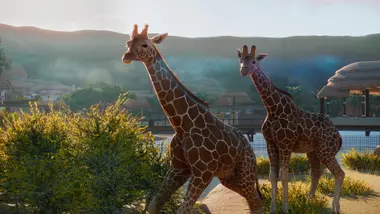 Planet Zoo preview 8
