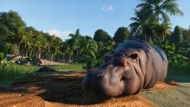 Planet Zoo preview 4