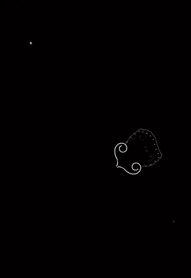 Plankton preview 2