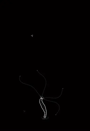 Plankton preview 8