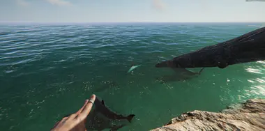Project Castaway preview 10
