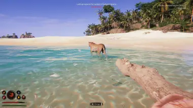 Project Castaway preview 13