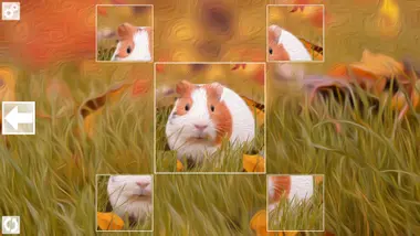 Puzzle Art: Rodents preview 4