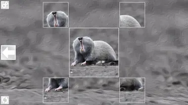 Puzzle Art: Rodents preview 5
