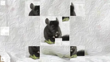 Puzzle Art: Rodents preview 3