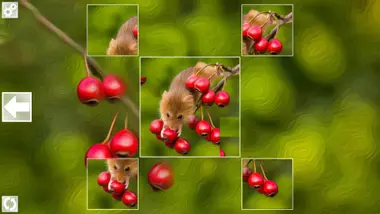 Puzzle Art: Rodents preview 2